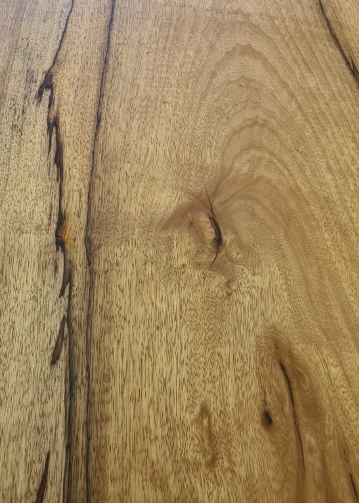 Fraké Noir tekening in hout